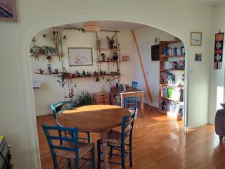 Appartement plein centre - 9