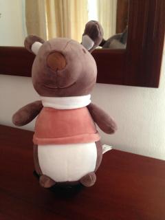 Villa29 Rathnagiri - 2