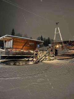 Aurorahut2 at Sauna Retreat - 3