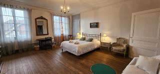 La VDCA: Maison familiale de caractère 12 pers - Menthon-Saint-Bernard - 3