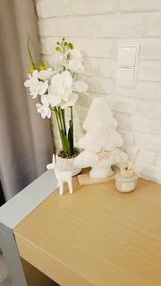 City Center Big Apartment Tobiasza with free Parking - 9