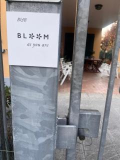 Bloom as you are - 7