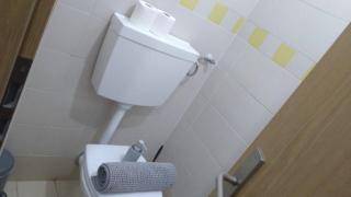 Singh Leite Family PT - 4