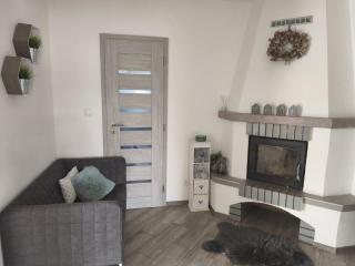 Apartmán u Fryšávky - 3