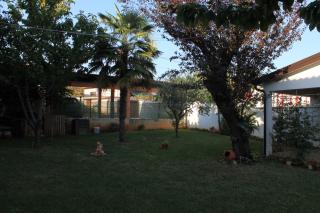 Apartments by the sea Zambratija, Umag - 6998 - 2