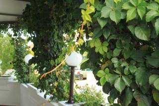 Rooms with a parking space Premantura, Medulin - 7463 - 1