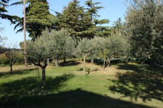 Apartments with parking space Valbandon, Fazana - 7215 - 1