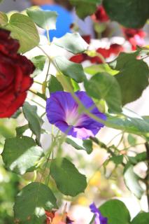 Studio Tucepi 6901b - 1