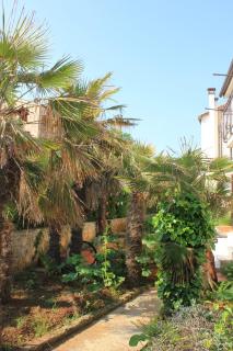 Holiday apartments Pjescana Uvala, Pula - 7652 - 1