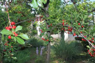 Apartments by the sea Cres - 7806 - 1