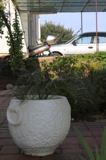 Apartments with parking space Stari Grad, Hvar - 8708 - 1