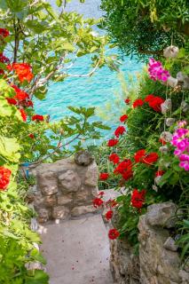 Apartments by the sea Cove Donja Kruscica - Donja Krusica, Solta - 11146 - 1