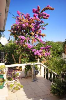 Apartments by the sea Korcula - 9321 - 1