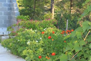 Apartment Rukavac 8863b - 1