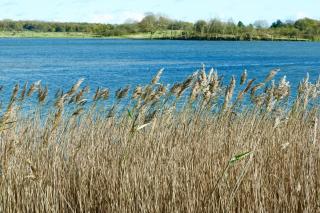 Ferienhaus Poseby - 7