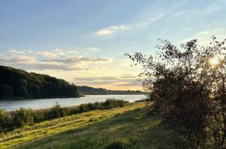 Reethus Koppelkiek - 9