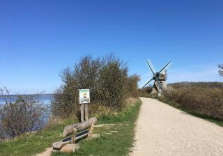 Reethus Koppelkiek - 1