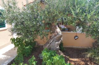 Apartments by the sea Mirca, Brac - 2854 - 1