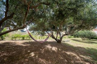 Apartments with parking space Povljana, Pag - 224 - 1
