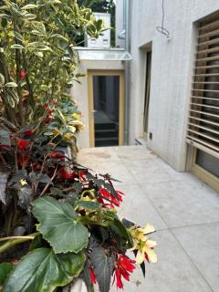 Prague Luxury Apartment - 8