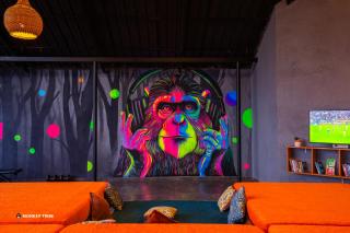 Monkey Tribe Munnar - 1