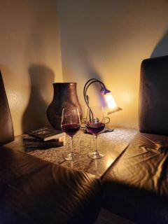 Refúgio com Piscina, Churrasco e Lazer no Campo - 2