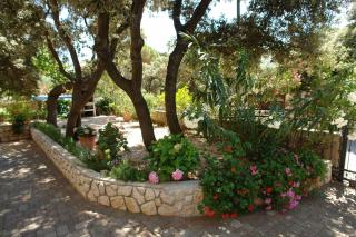 Apartments with parking space Mandre, Pag - 18748 - 2