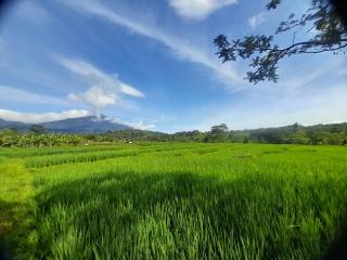 Purnama Mulia Hotel - 0