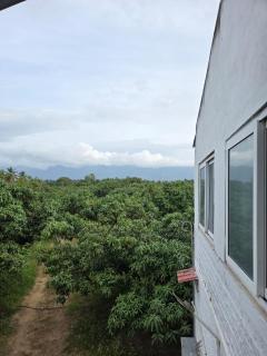 Mango Bite Farmstay - Pollachi - 2