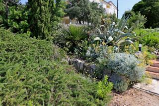 Apartments with parking space Barbat, Rab - 24215 - 8