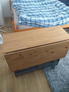 Guest house in rear garden - 7