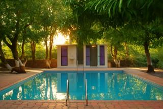 The Wilds Villa Gir Jungle Stay with Swimming Pool - 3