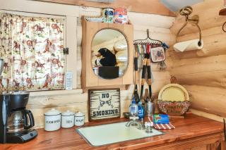 Rogers Cabin Historic Log Cabin in the Woods Near Grand Canyon Flagstaff - 2