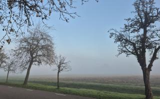 De Bloesemstee - Rustic Manor Farmhouse The Netherlands - 2