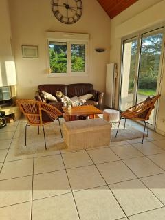 Le Repaire du Lac - Vue, accès au lac avec cheminée - 7