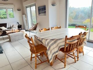 Le Repaire du Lac - Vue, accès au lac avec cheminée - 6