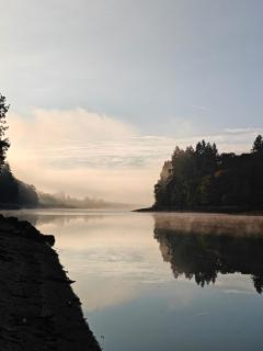 Le Repaire du Lac - Vue, accès au lac avec cheminée - 5