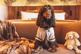 St Pancras London, Autograph Collection - 9