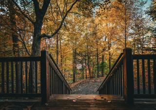 Exclusive Attraction Ticket Prices! Cozy Cabin with Views, Fireplace & Hot Tub - 9