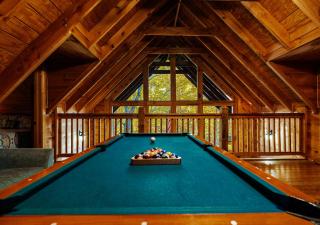 Exclusive Attraction Ticket Prices! Cozy Cabin with Views, Fireplace & Hot Tub - 6