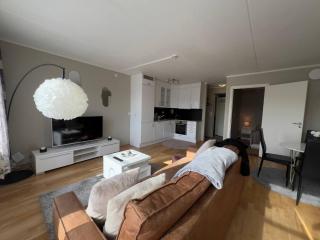 Great 1-bedroom apartment - 8