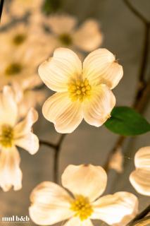 Amazing View - Cozy 1BR at One Eastwood with Washer High Speed Wi-Fi - 3