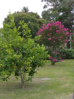 I rent a house in Balneario Las Flores - Maldonado - 6