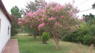 I rent a house in Balneario Las Flores - Maldonado - 5