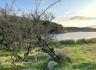 Appartement Reethus Koppelkiek - 9