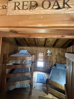 Upscale Rustic Cabin Surrounded by Spacious Pennsylvania Countryside near Pine Creek Gorge - Gaines - 3