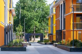 Kotzebue Stay - Sleek & Moody, Dark Green & Black - Tallinn - 9