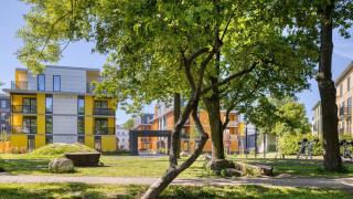 Kotzebue Stay - Sleek & Moody, Dark Green & Black - Tallinn - 8