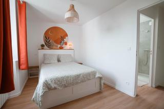 Charmant T2 plein centre - 0