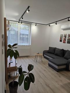 Szilvási's Apartman - 0